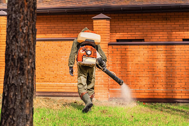 Trusted Mosquito Control service in Shady Hills, FL - Nex Pest Control